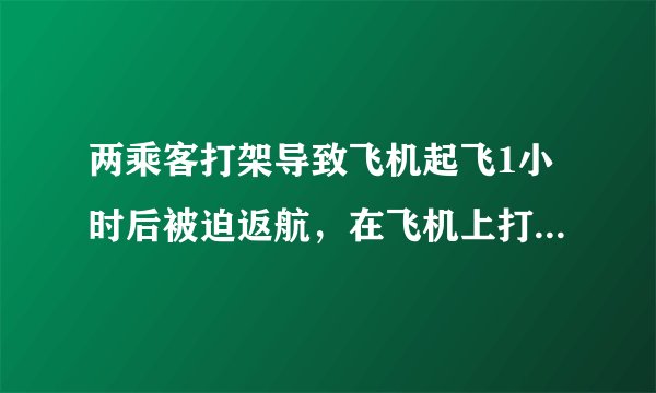 两乘客打架导致飞机起飞1小时后被迫返航，在飞机上打架有这么危险吗？