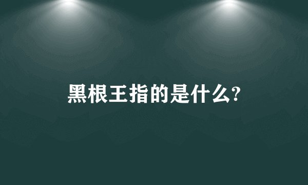 黑根王指的是什么?
