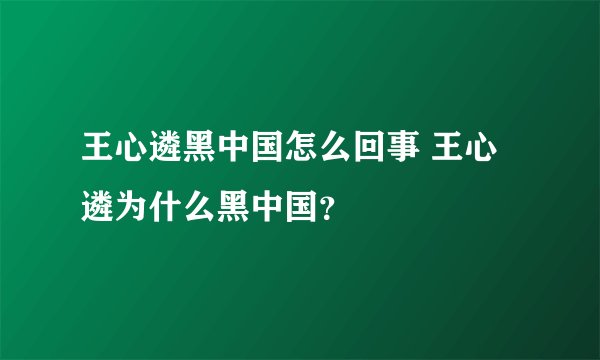 王心遴黑中国怎么回事 王心遴为什么黑中国？