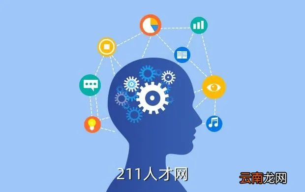 融安人才网,211人才网