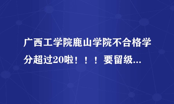 广西工学院鹿山学院不合格学分超过20啦！！！要留级吗。。有什么办法补救。。