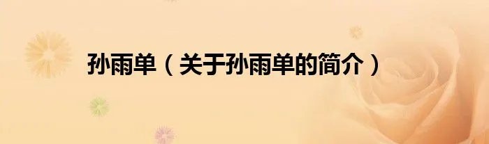 孙雨单（关于孙雨单的简介）
