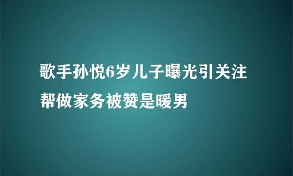歌手孙悦6岁儿子曝光引关注帮做家务被赞是暖男