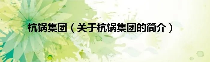 杭锅集团（关于杭锅集团的简介）