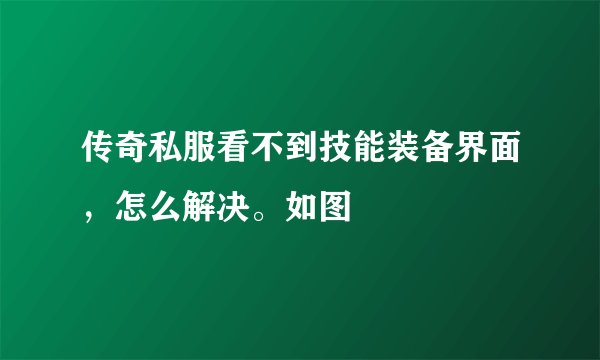传奇私服看不到技能装备界面，怎么解决。如图