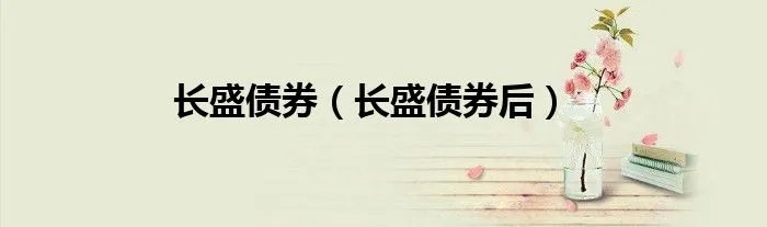 长盛债券(长盛债券后)