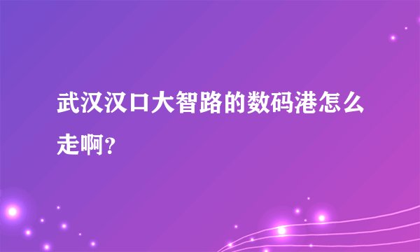 武汉汉口大智路的数码港怎么走啊？