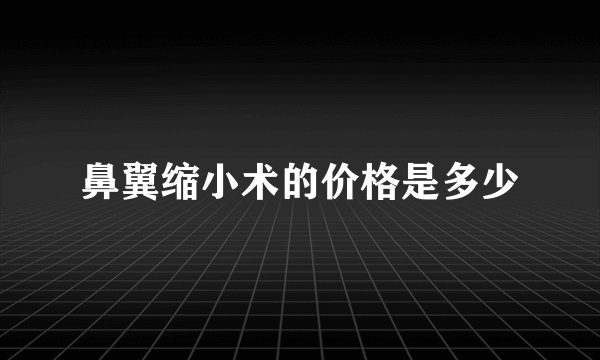 鼻翼缩小术的价格是多少