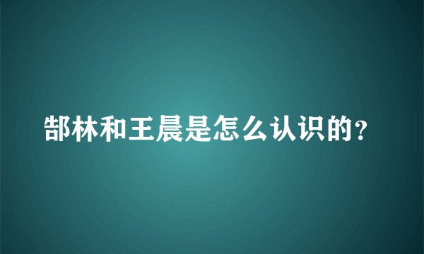 郜林和王晨是怎么认识的？