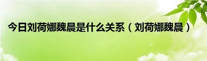 今日刘荷娜魏晨是什么关系（刘荷娜魏晨）