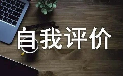 审美与表现自我评价