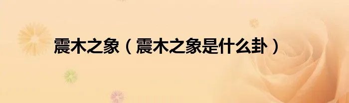 震木之象(震木之象是什么卦)