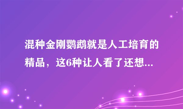 混种金刚鹦鹉就是人工培育的精品，这6种让人看了还想看，收藏