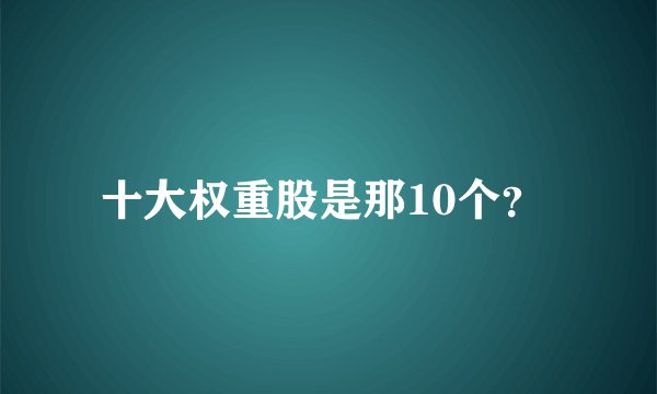 十大权重股是那10个?