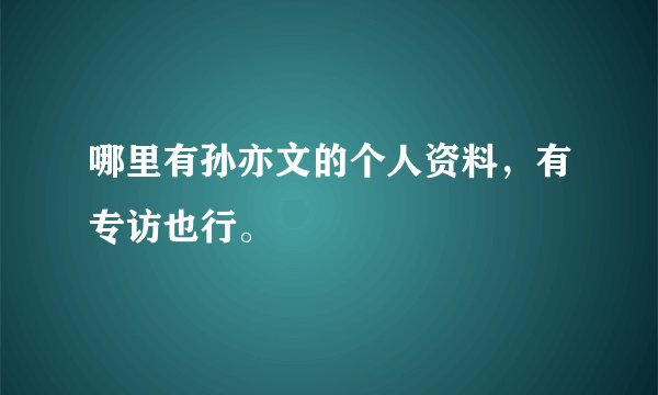 哪里有孙亦文的个人资料，有专访也行。