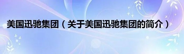 美国迅驰集团（关于美国迅驰集团的简介）