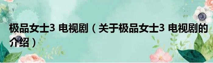 极品女士3 电视剧（关于极品女士3 电视剧的介绍）