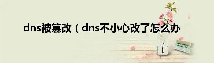 dns被篡改（dns不小心改了怎么办