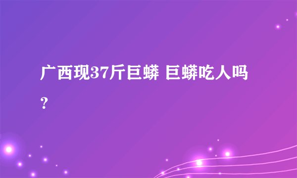 广西现37斤巨蟒 巨蟒吃人吗？