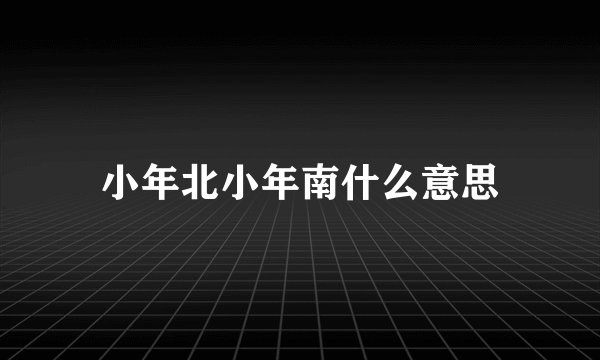 小年北小年南什么意思