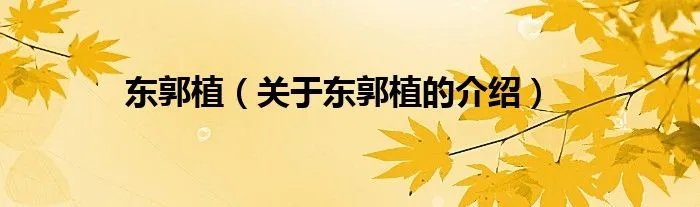 东郭植（关于东郭植的介绍）