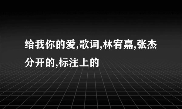 给我你的爱,歌词,林宥嘉,张杰分开的,标注上的