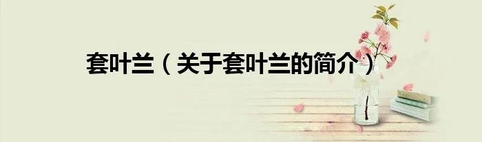 套叶兰（关于套叶兰的简介）