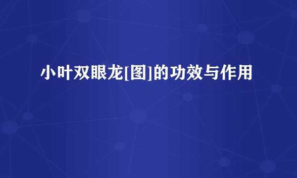 小叶双眼龙[图]的功效与作用
