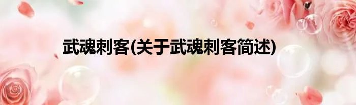 武魂刺客(关于武魂刺客简述)