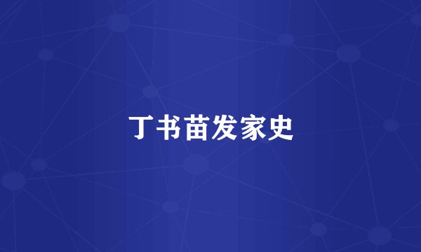 丁书苗发家史