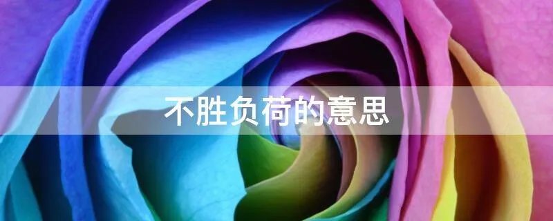 不胜负荷的意思