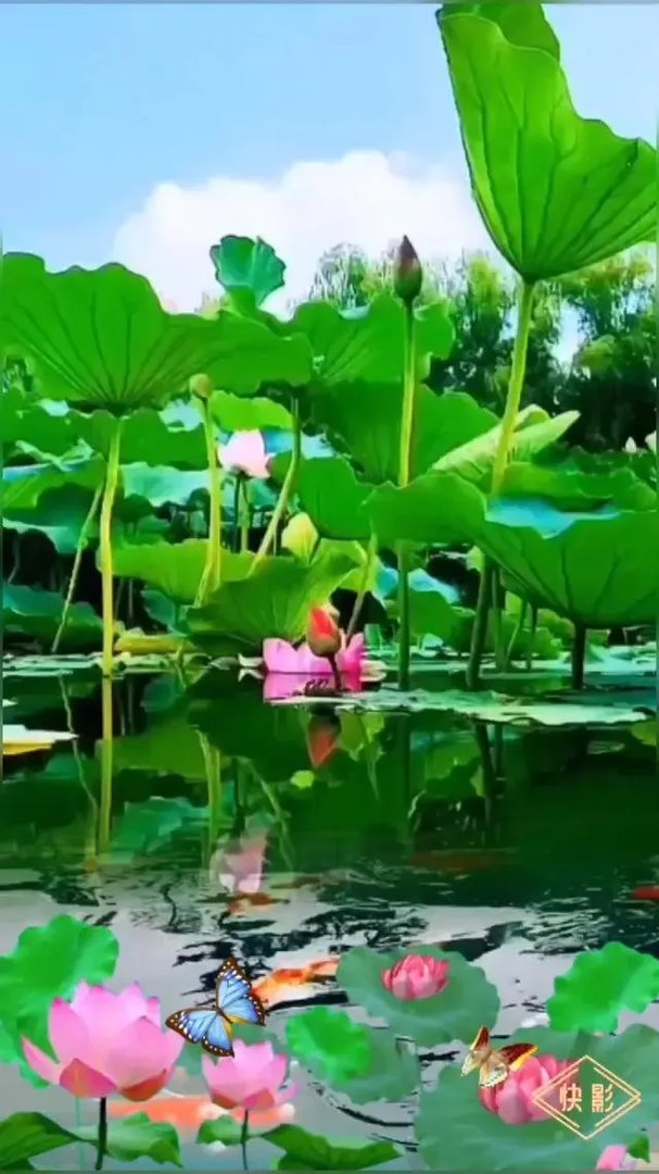 济宁太白路不久就要重修了，大家有什么好的建议给政府提出来？
