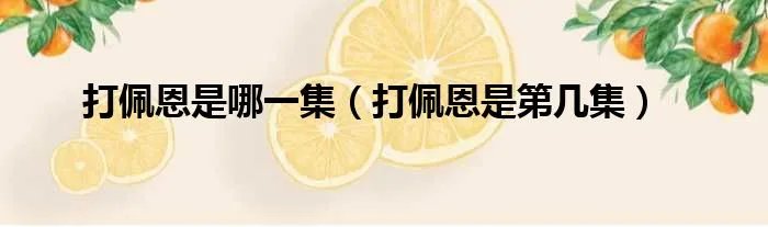 打佩恩是哪一集(打佩恩是第几集)