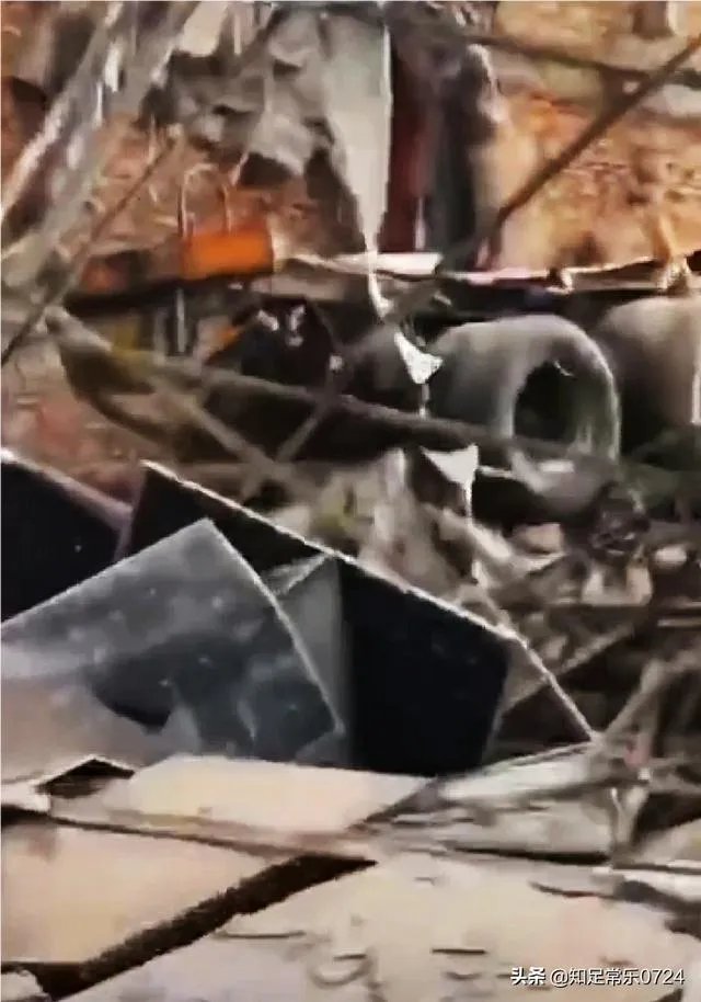 台州大溪高速公路口油罐车大爆炸,油罐车公司负法律责任吗?