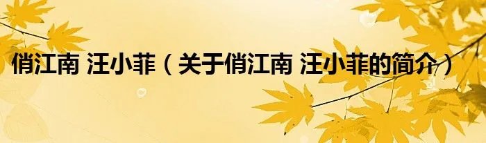 俏江南 汪小菲（关于俏江南 汪小菲的简介）