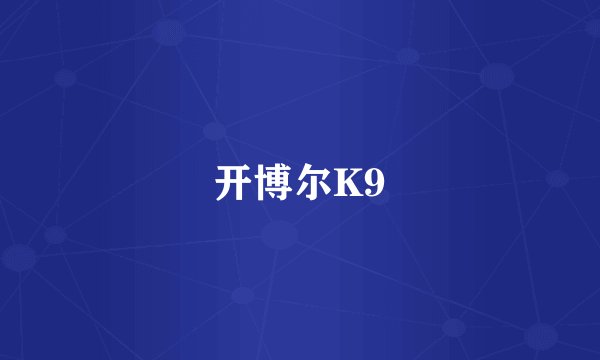 开博尔K9