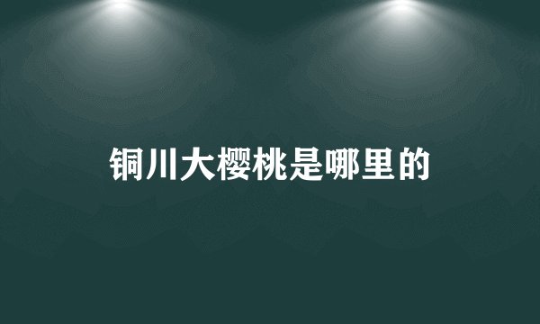 铜川大樱桃是哪里的