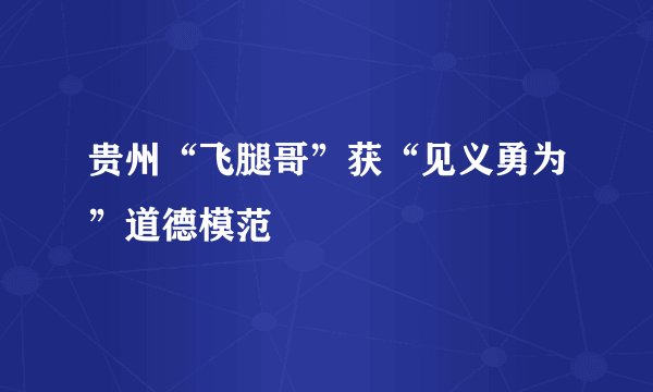 贵州“飞腿哥”获“见义勇为”道德模范