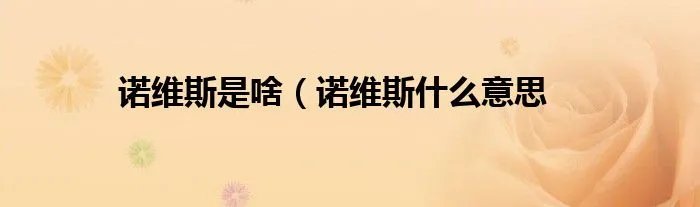 诺维斯是啥（诺维斯什么意思