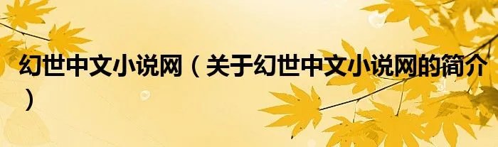 幻世中文小说网（关于幻世中文小说网的简介）