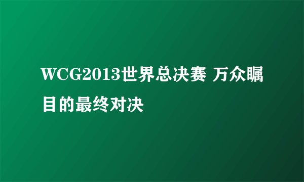 WCG2013世界总决赛 万众瞩目的最终对决