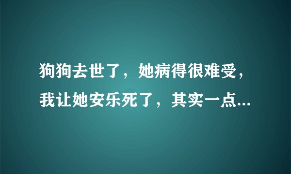 狗狗去世了，她病得很难受，我让她安乐死了，其实一点也不安乐，很痛苦，她会恨我的。