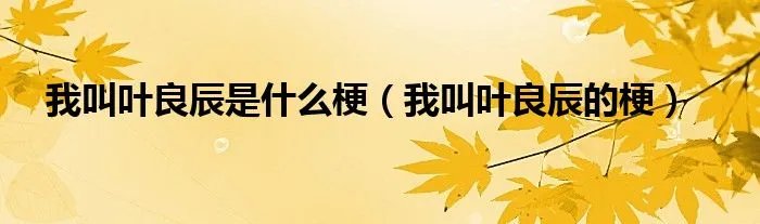 我叫叶良辰是什么梗（我叫叶良辰的梗）