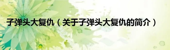 子弹头大复仇（关于子弹头大复仇的简介）