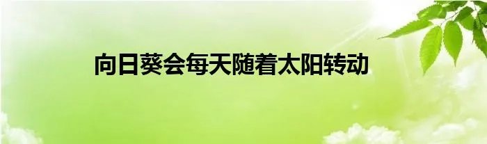 向日葵会每天随着太阳转动