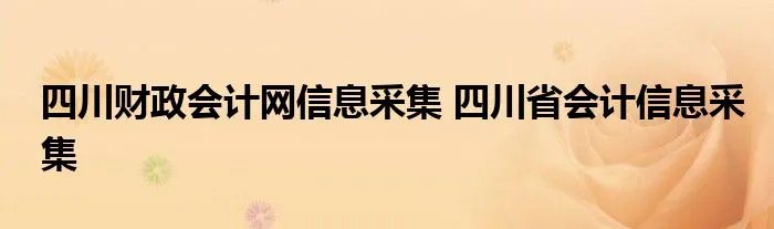 四川财政会计网信息采集 四川省会计信息采集