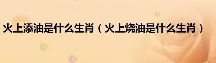 火上添油是什么生肖（火上烧油是什么生肖）