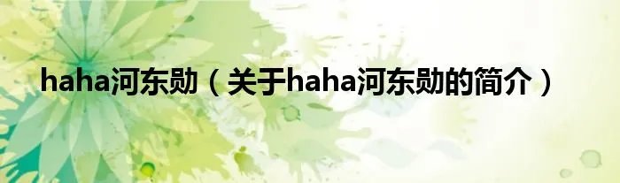 haha河东勋（关于haha河东勋的简介）