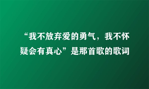 “我不放弃爱的勇气，我不怀疑会有真心”是那首歌的歌词