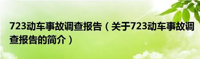 723动车事故调查报告（关于723动车事故调查报告的简介）